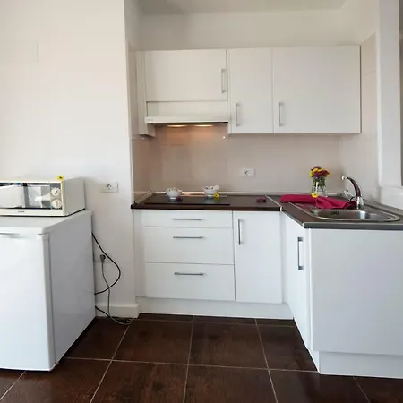 Apartment Paraiso Del Sur Costa Adeje (Tenerife)